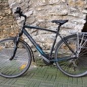 Wilier Soave trekking bike, bicycle rental Tallinn