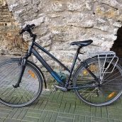 Wilier Soave trekking bike, bicycle rental Tallinn