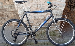 Kasutatud Scott Peak XL