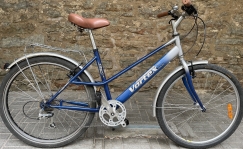 Kasutatud Linnaratas Vortex City 300X